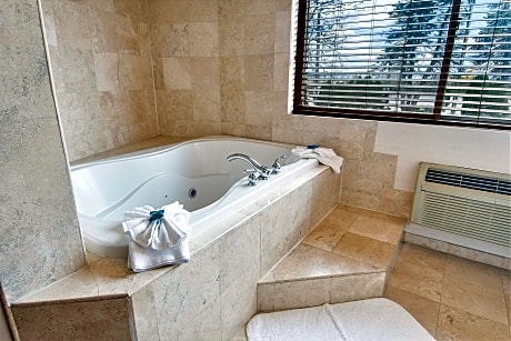 Suite, 1 King Bed with Sofa bed (1 King Bed and 1 Double Sofa Bed)