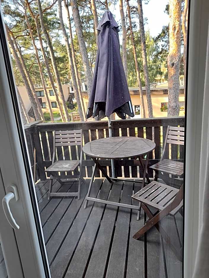 Ośrodek Wypoczynkowy W sosnowym lesie