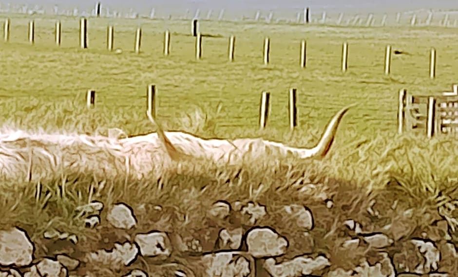 Heb Way bed and breakfast