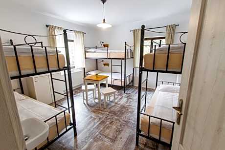 Bunk Bed in Mixed Dormitory Room with Shared Bathroom