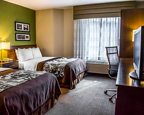 Standard Double Room with Two Double Beds