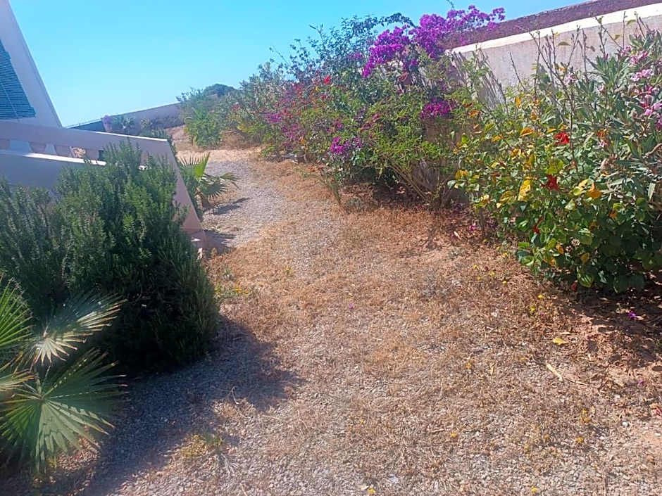 Villa en el campo sobre el mar