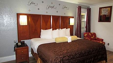 1 King Bed Pet Friendly Room