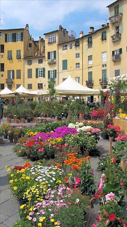 Angelini