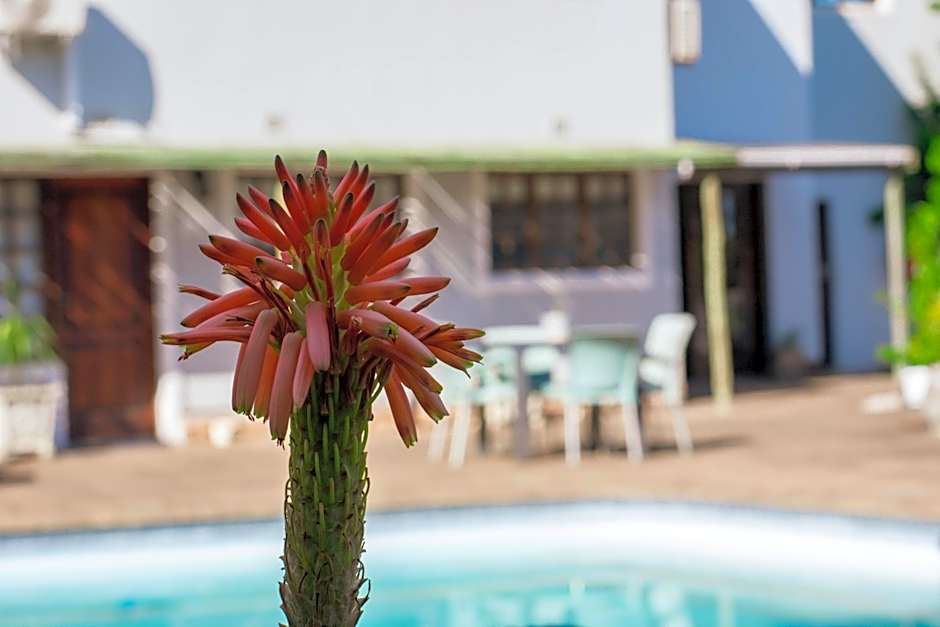 African Sands B&B