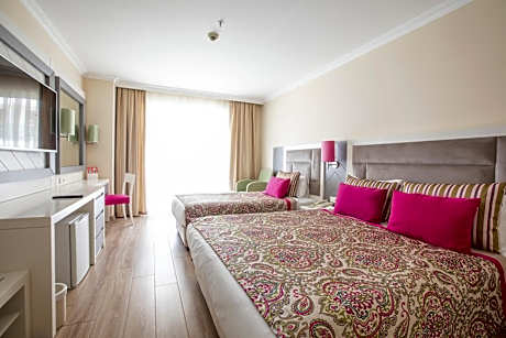 Triple Land View Room