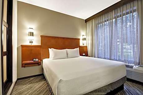 King Room with Sofa Bed