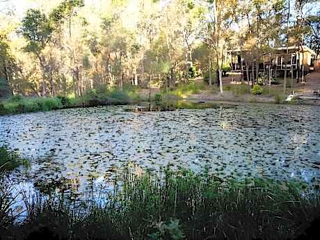 1-Bedroom Bush View Cottage