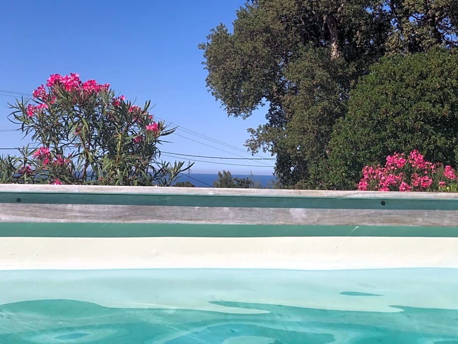 CHAMBRE HOTES CARPE DIEM