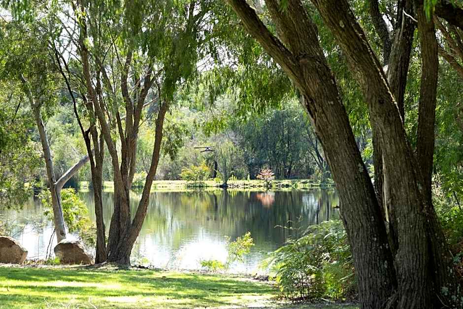 Forest Rise Chalets and Lodge
