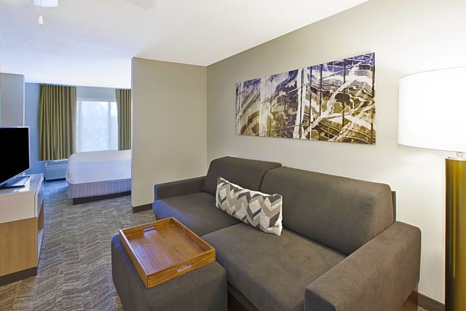 SpringHill Suites Minneapolis-St. Paul Airport/Eagan