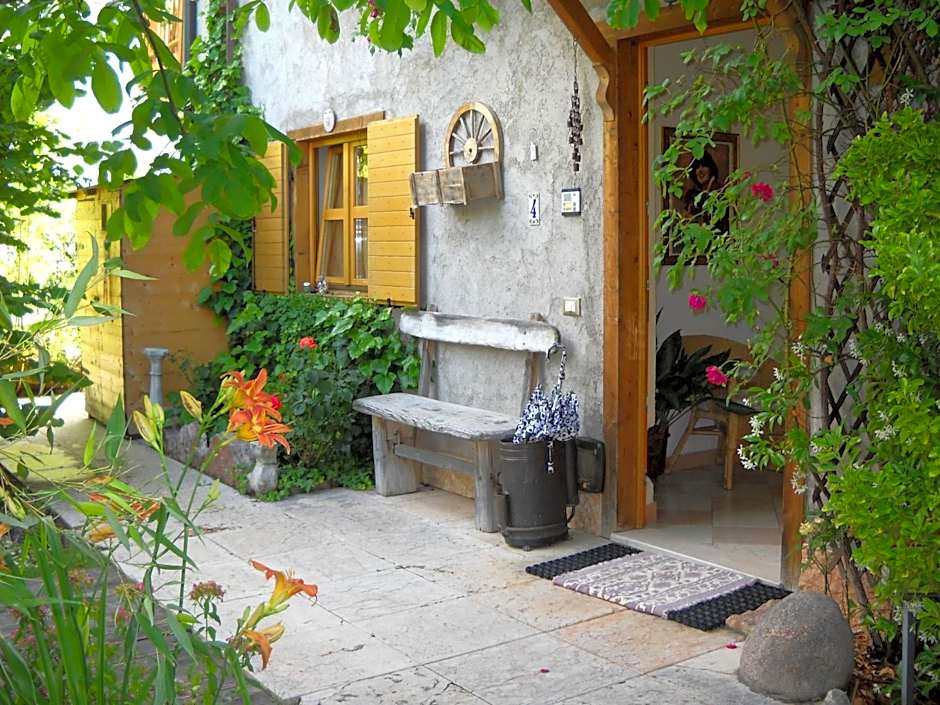 B&B Artemia