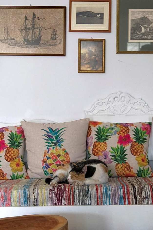 Armadoros Hotel / Ios Backpackers