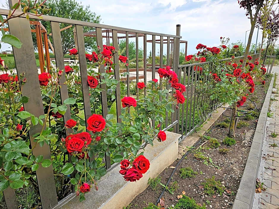 Diamond Beach Sarafovo by KP