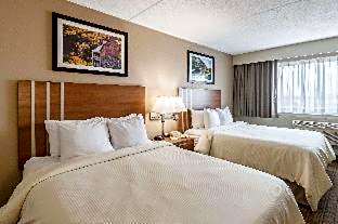 King Suite with Sofa Bed - Non Smoking