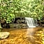 New Center Hotel