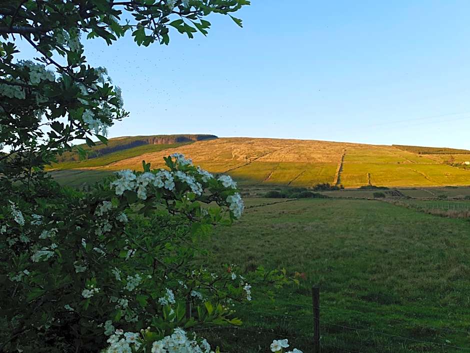 An Charraig Ban on the wild Atlantic way F94WT02