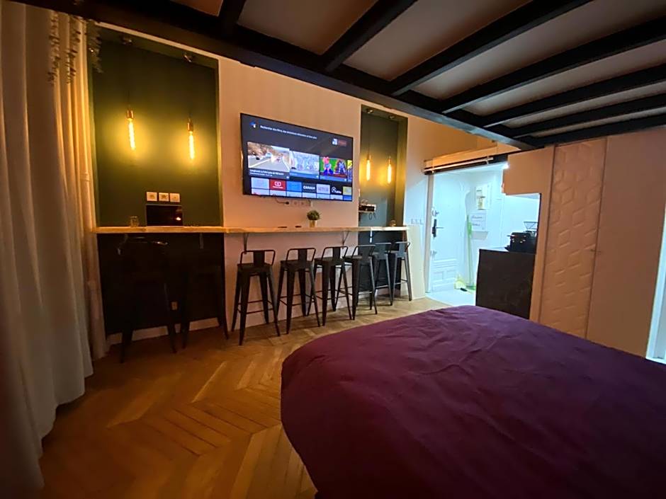 Beautiful mini Loft near Saint-Lazare