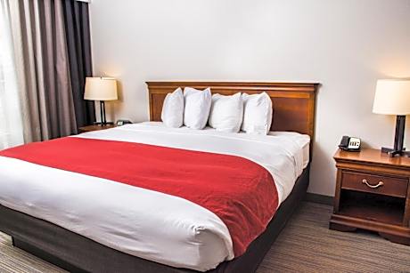 King Room - Disability Access/Non-Smoking
