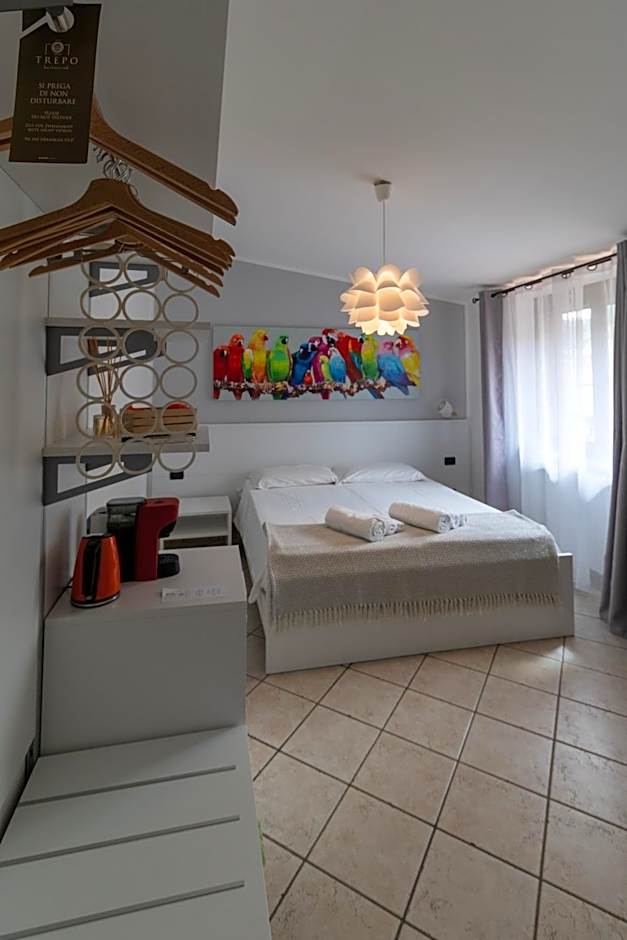 B&B Trepo