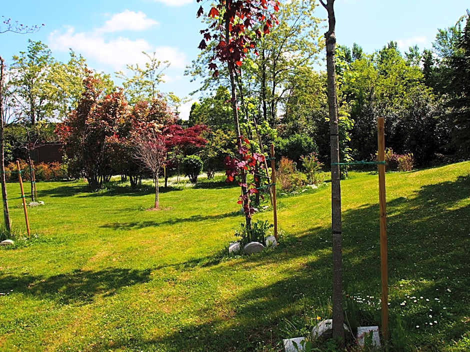 Hotel Villa Costanza