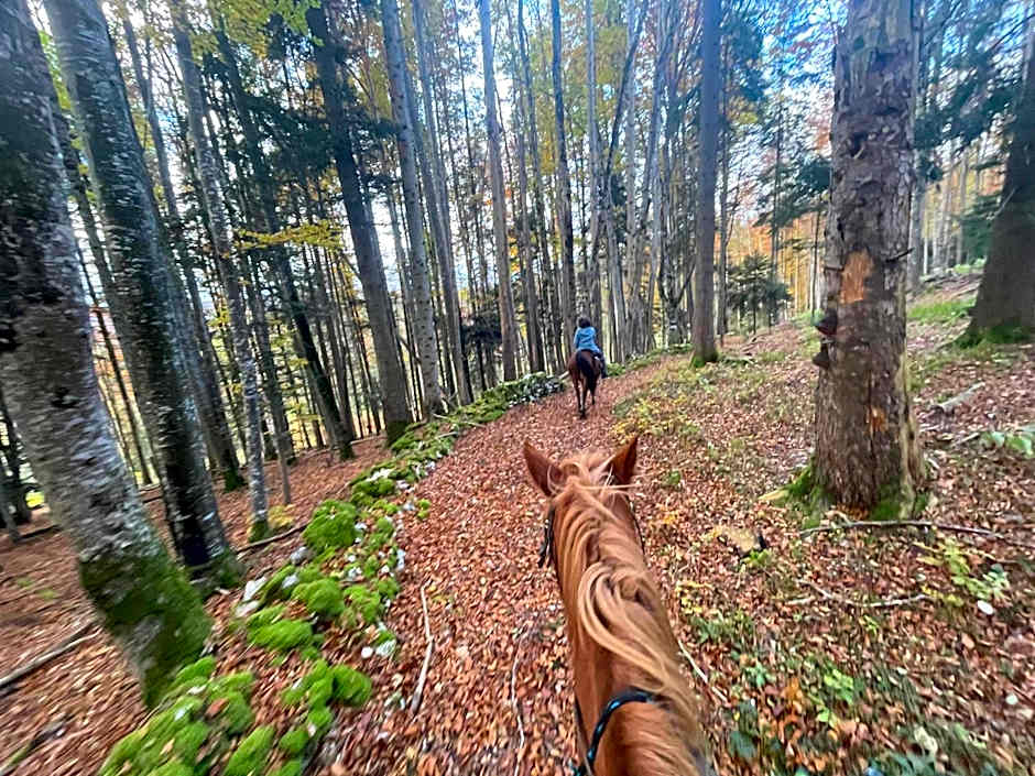 Miramont Horse Trekking Hostel