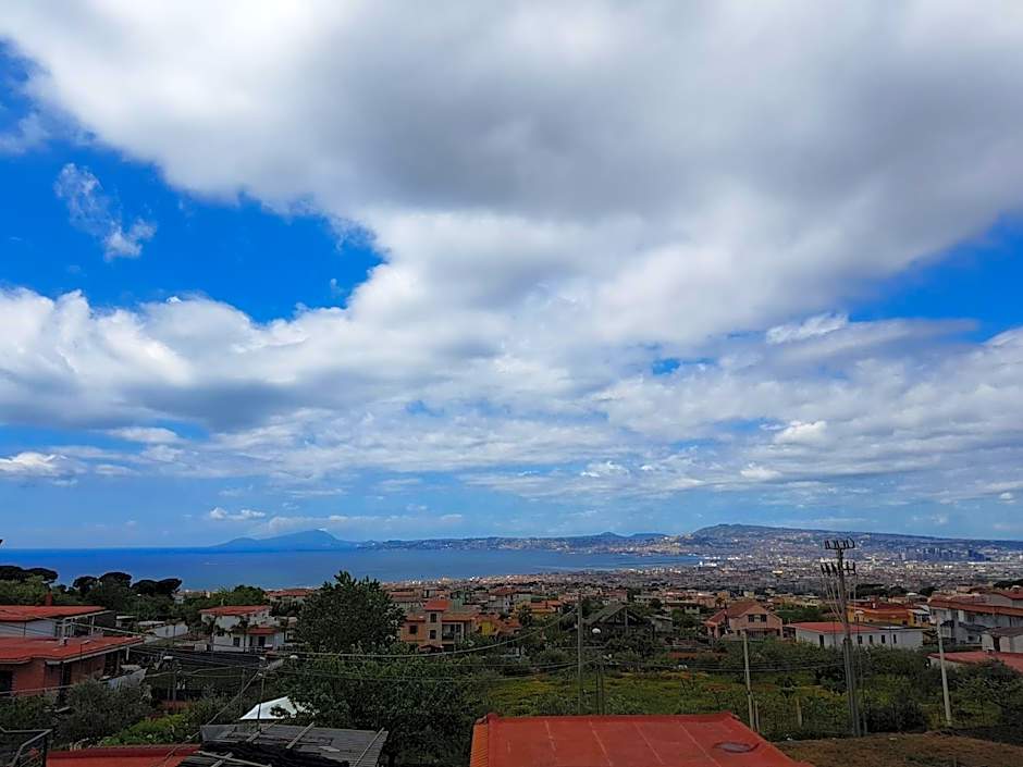 La Mariposa de La Reina