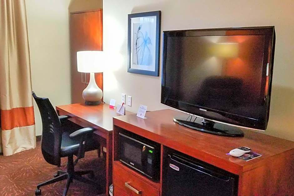 Econo Lodge Inn & Suites East Houston I-10