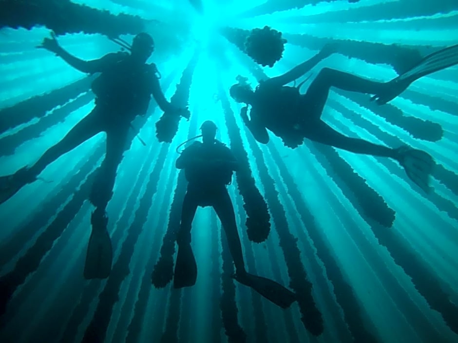 Apartamentos Ria de Aldan