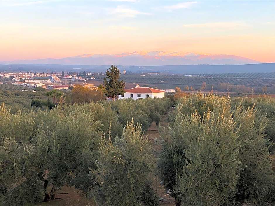 Casita of Casa Olivar