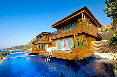Maldivian Villa