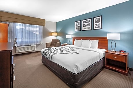 1 King Bed, Nonsmoking, Accessible