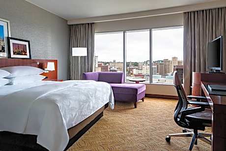 King or Queen Room with City View