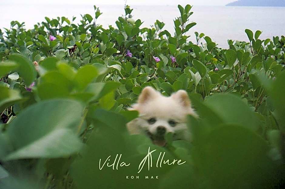 Villa Allure Koh Mak