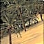 Western Desert Hotel & Safari
