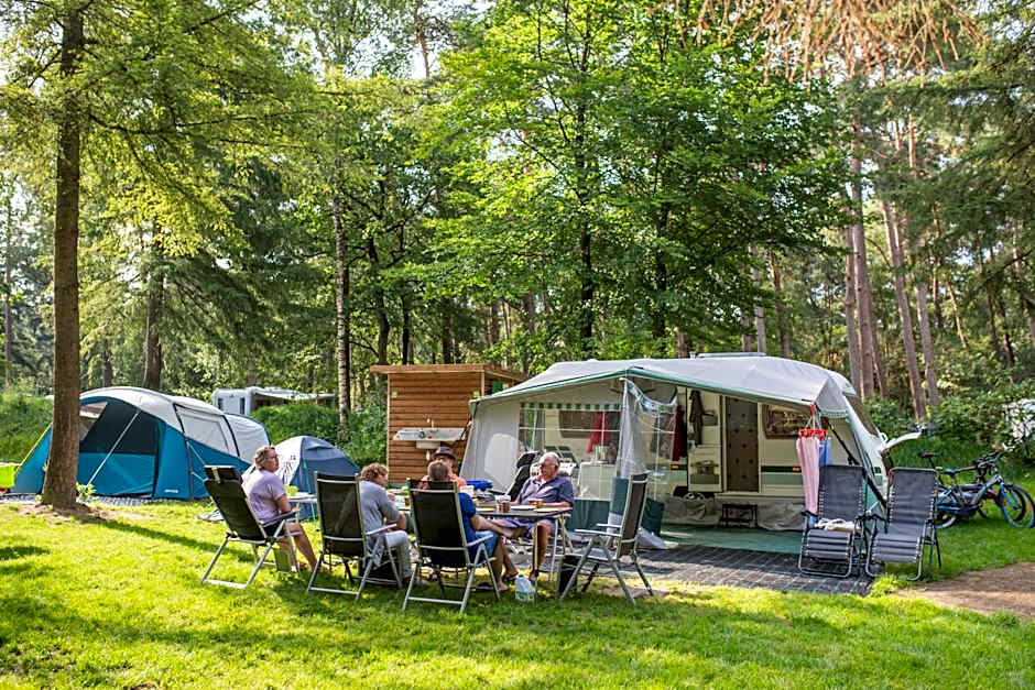 RCN het Grote Bos