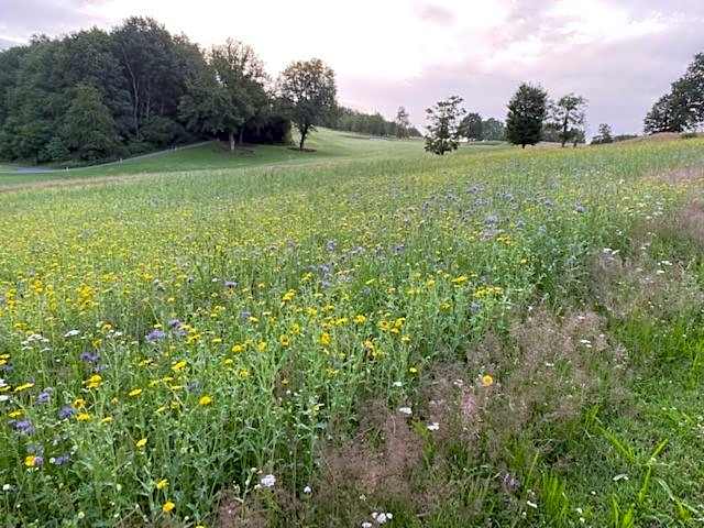 Hotel Weiherhof am Golfpark