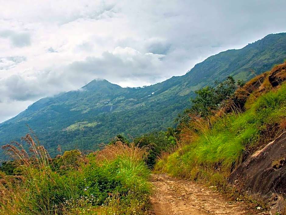 Neelakurunji Plantation Munnar