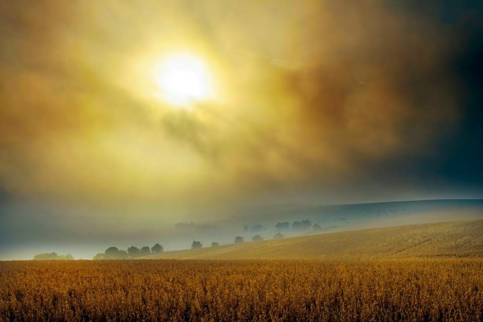 Helen Browning's Royal Oak