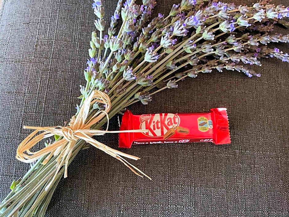 Klein Karoo Game Lodge