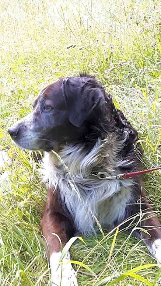 Schloss Hotel Fernsteinsee