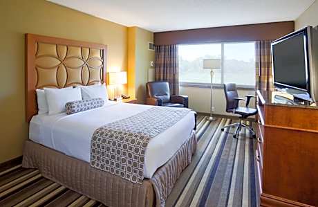 Standard Queen Room