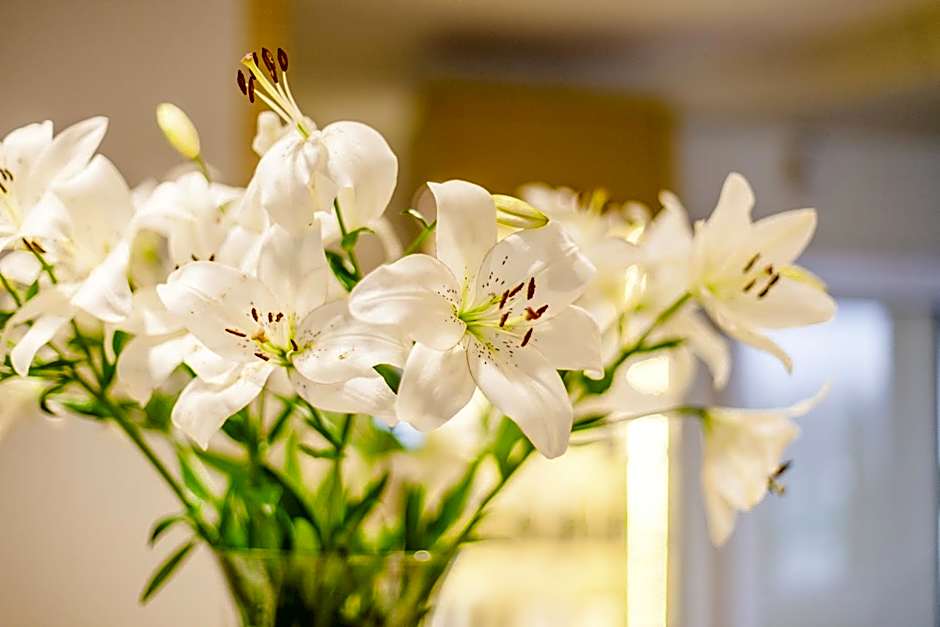 Hotel Court Wellness&Spa