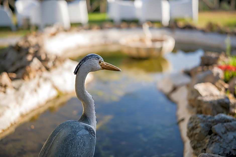 Hotel Rural Alqueria de los lentos