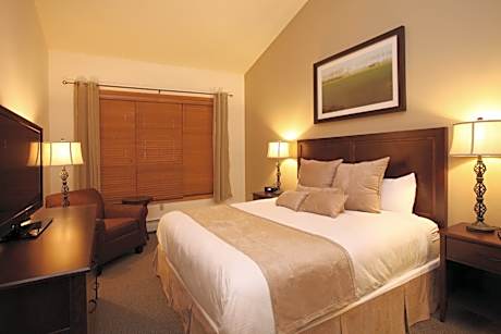 Deluxe One-Bedroom Apartment