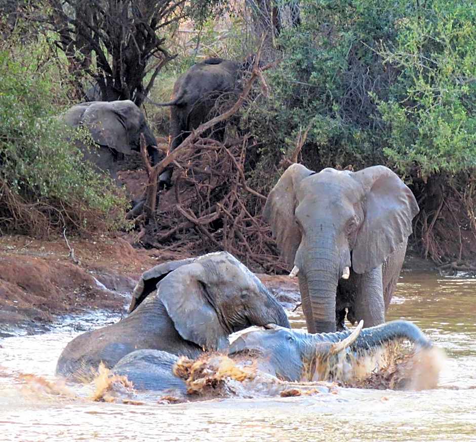 Sable Creek Safari Lodge