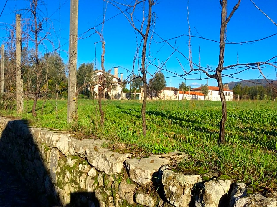 Quinta de Areias