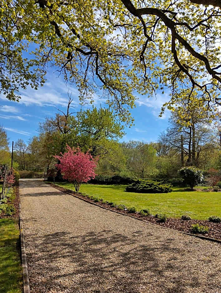 Chambres d'Hôtes Orée du Bois en Sologne - Entre Romorantin - Chambord - Zoo de Beauval