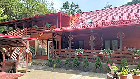 Cabana Alpha