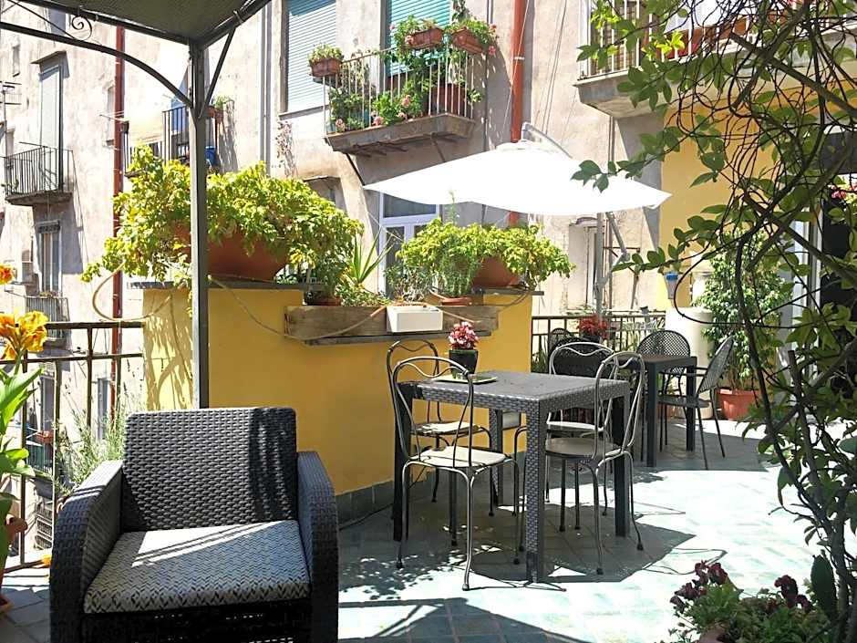 B&B Bellini